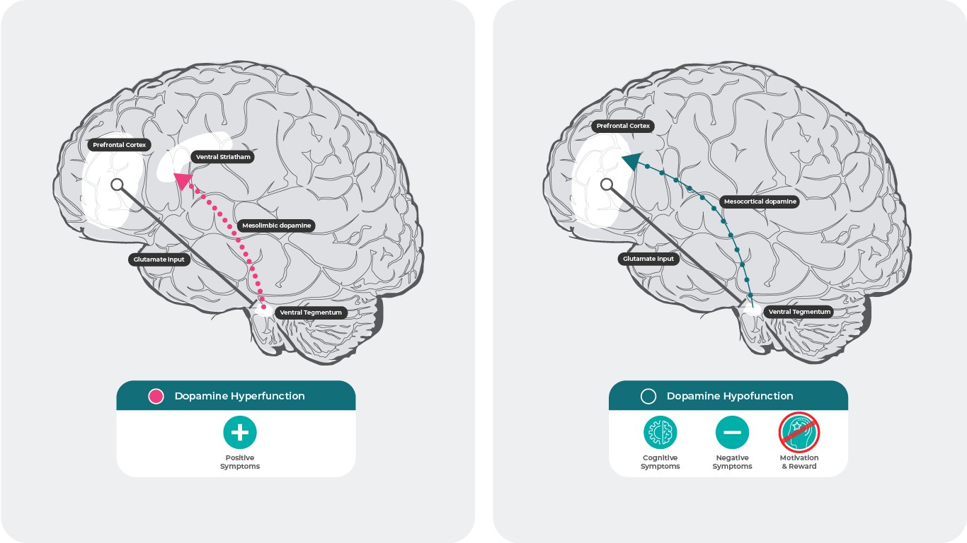 Neurochemical Basis Of Schizophrenia